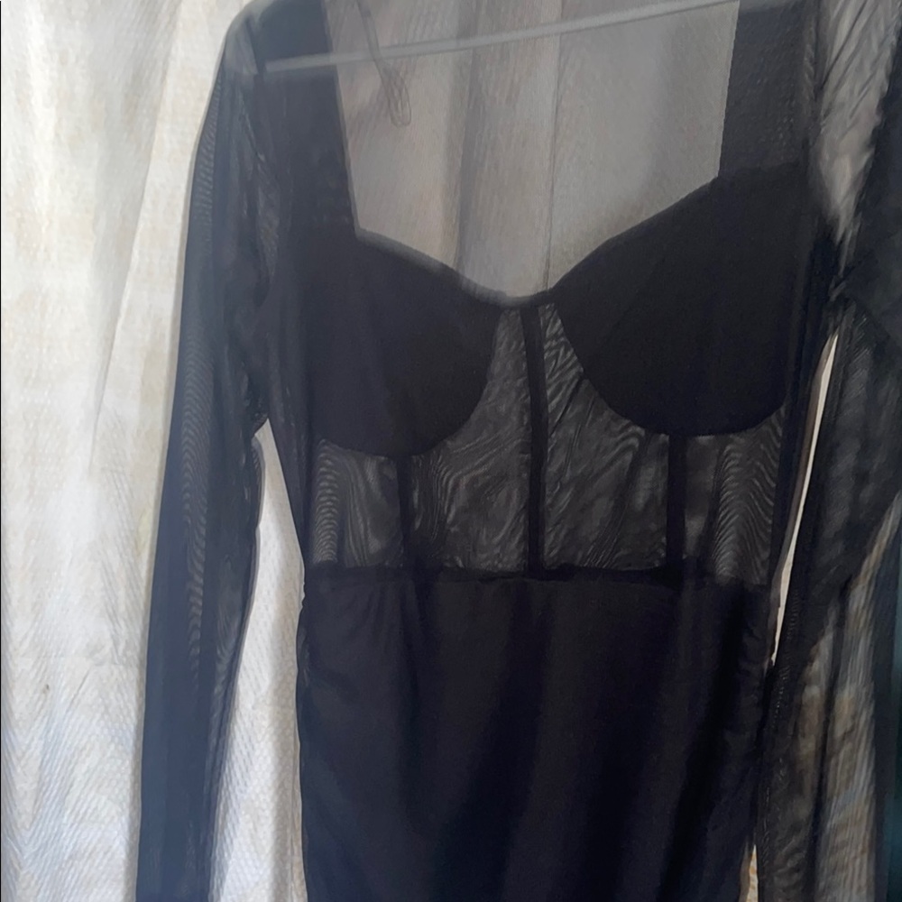 Elegant Black Sheer Long Sleeve Dress